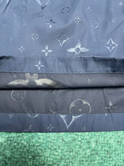 LV Shorts 102209